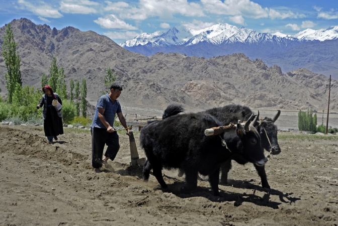 Ladakh_D705613 0042.JPG